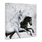 Stupell Industries Wild Horses Racing Abstraction Canvas Wall Art